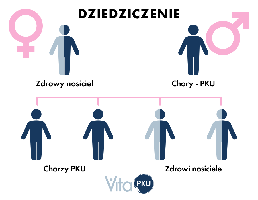 Dlaczego chorujemy? Dziedziczenie fenyloketonurii - 1 przypadek