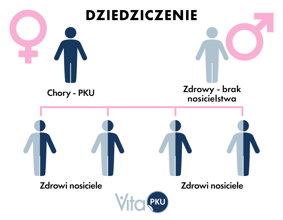 Dlaczego chorujemy? Dziedziczenie fenyloketonurii - 2 przypadek