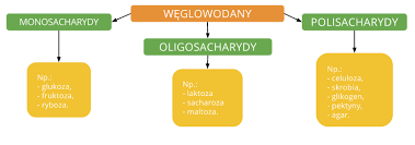 podział węglowodanów